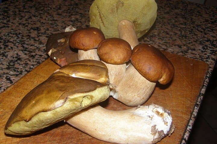 Tuscany Truffle Hunting & Cooking Holiday: 4 Days in Valtiberina photo 5