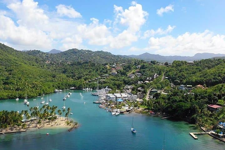 St. Lucia Botanical Gardens & Diamond Falls Waterfall Tour — Soufrière Day Trip photo 4