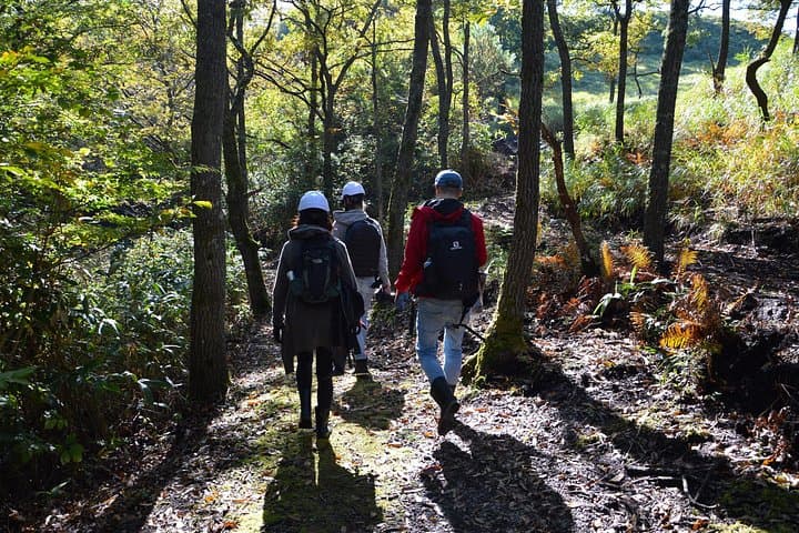 Rural Forestry Tour in Aso Minamioguni — Cedar Culture & Lumberjack Experience photo 2