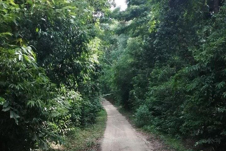 Coastal Circuit: Private 6-Hour Koh Phangan Island Tour & Snorkel photo 3