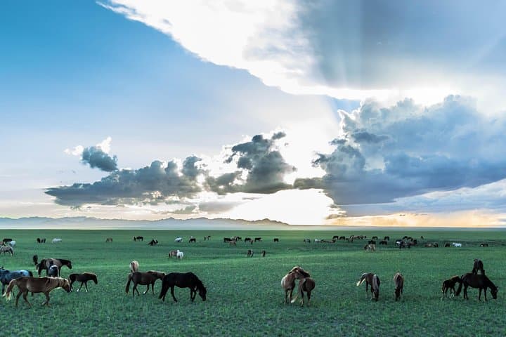 18-Day Mongolia Overland: Gobi Desert to Khuvsgul Lake Adventure photo 2
