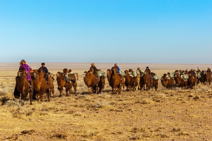 11-Day Camel Caravan Through Mongolia's South Gobi — Flaming Cliffs to Khongor Dunes