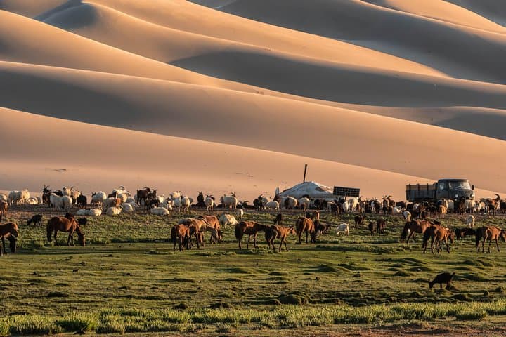 12-Day Gobi Desert & Express Mongolia Adventure photo 5