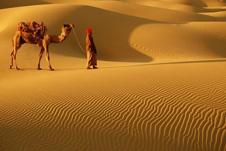 Abu Dhabi Sunset Desert Safari: 4x4 Dune Bashing, BBQ & Bedouin Camp Experience