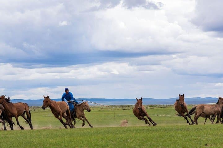 Essence of Mongolia: 3-Day Ger Stays, Dunes and Wild Takhi Horses photo 3