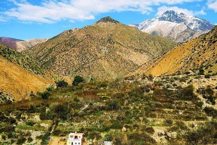 Ourika Valley Day Trip from Marrakech: Waterfalls, Berber Villages & Atlas Views photo 2