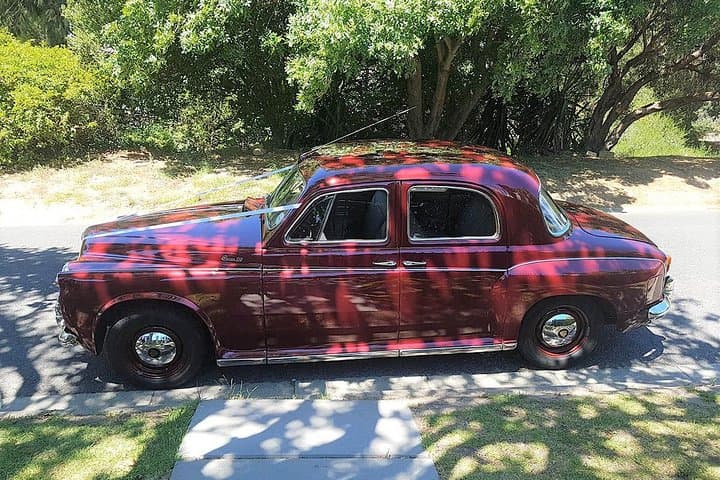 Vintage Car Winelands Tour: Cape Wine Tasting from Babylonstoren to Waterford photo 4
