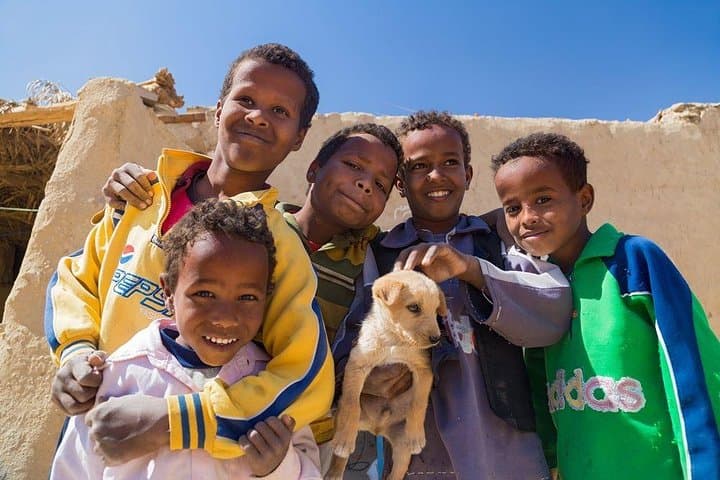 Felucca to Nubian Village: Aswan Day Sail to Soheil Island