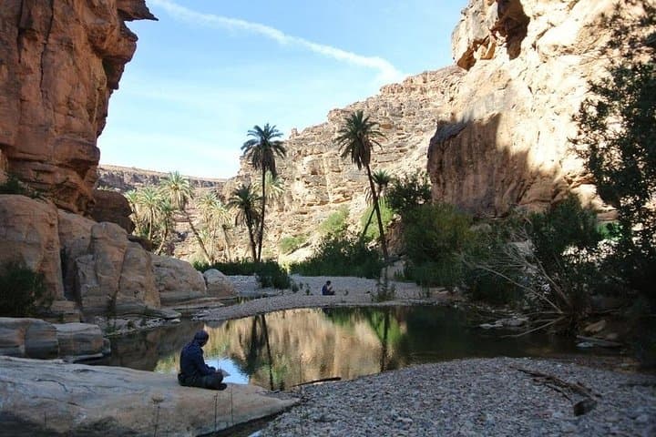 Half-Day Wildlife Tour Through Souss Massa National Park from Agadir photo 3