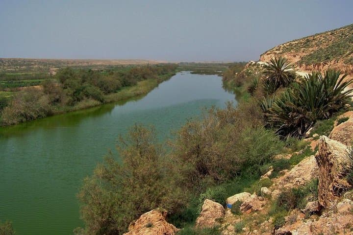 Half-Day Wildlife Tour Through Souss Massa National Park from Agadir photo 6