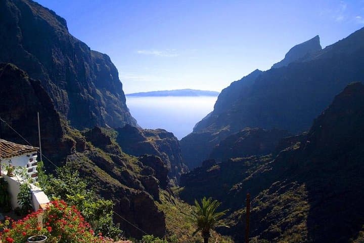 Grand Tour Tenerife: Private Full-Day VIP Drive to Teide, Masca & Anaga photo 4