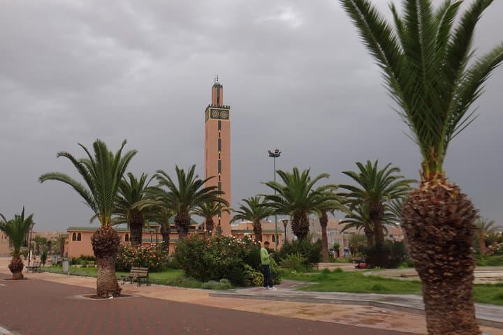 Half-Day Tiznit Private Trip: Explore the Silver City from Agadir photo 5