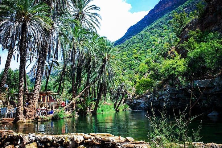Half-Day Paradise Valley Excursion from Agadir: Pools, Gorges & Berber Villages photo 5