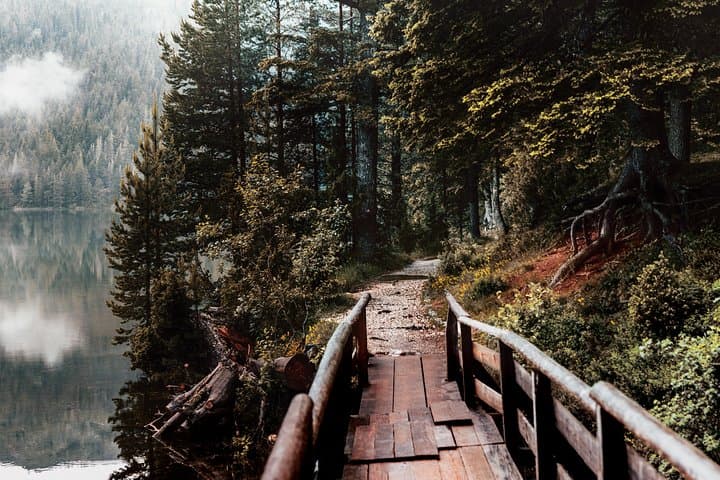 North Montenegro Tour: Durmitor, Black Lake & Đurđevića Tara Bridge