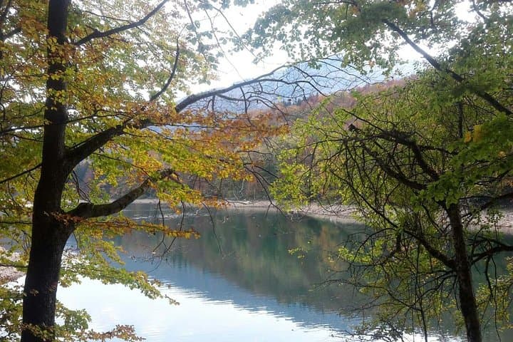 Moraca River Canyon & Biogradska Gora: Private Day Tour from Podgorica photo 3