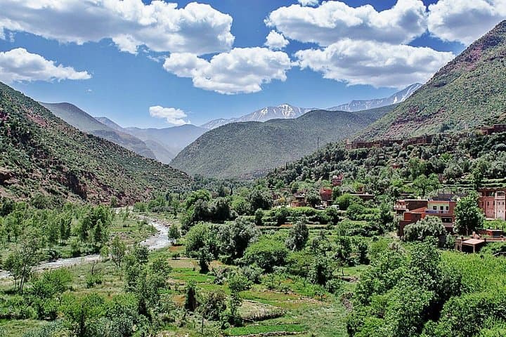 Ourika Valley & High Atlas Day Trip from Marrakech — Waterfalls, Berber Villages & Argan Co‑ops photo 3