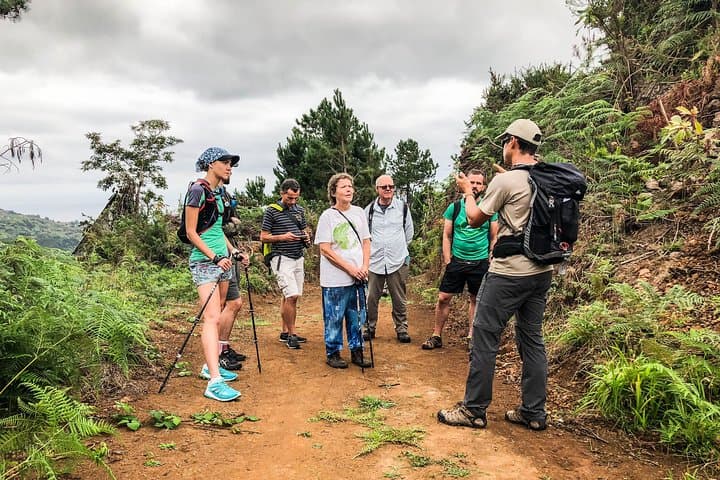 Madeira Walking Week: Guided Levadas & Coastal Trails photo 2