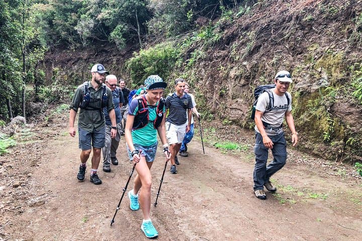 Madeira Walking Week: Guided Levadas & Coastal Trails photo 3