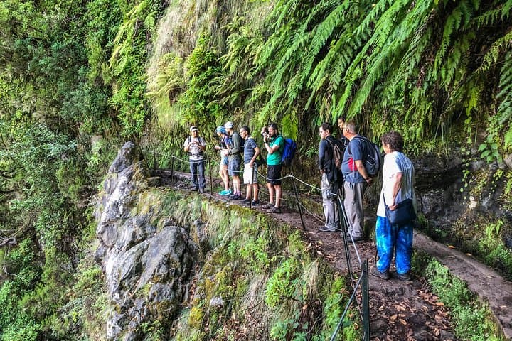 Madeira Walking Week: Guided Levadas & Coastal Trails photo 4