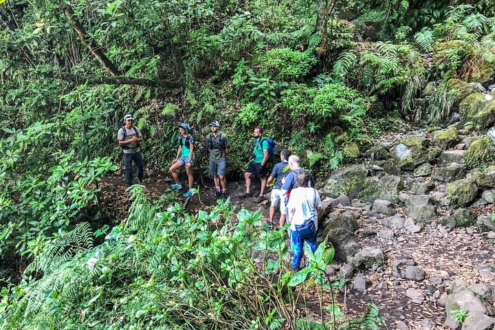 Madeira Walking Week: Guided Levadas & Coastal Trails photo 5