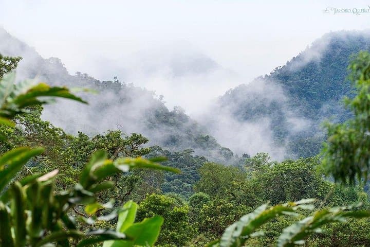 Day Trip to Mindo Cloud Forest: Hummingbirds, Tarabita Ride & Nambillo Waterfall from Quito photo 2