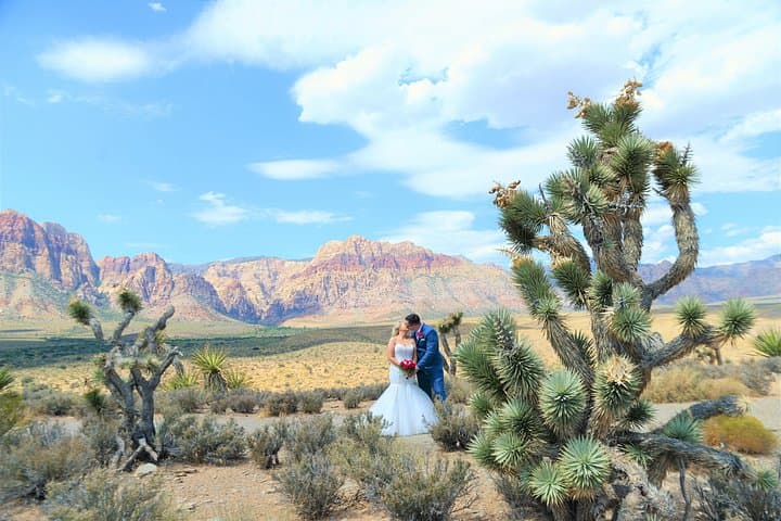 Red Rock Canyon Elopement: Private Limousine Wedding in Nevada's Red Rocks photo 3