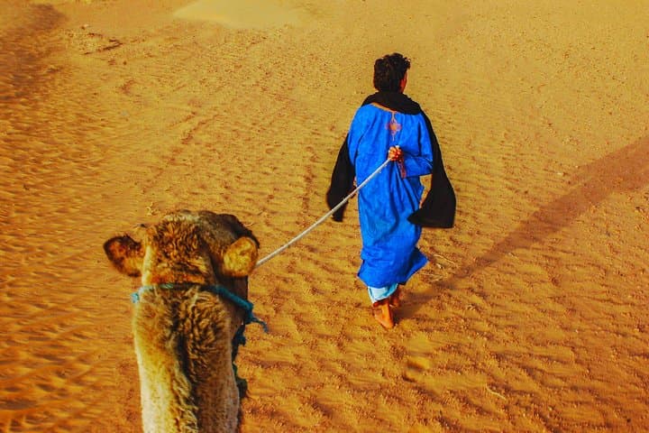 Atlas Mountains Day Trip: Three Valleys, Berber Villages & Waterfalls from Marrakech photo 2