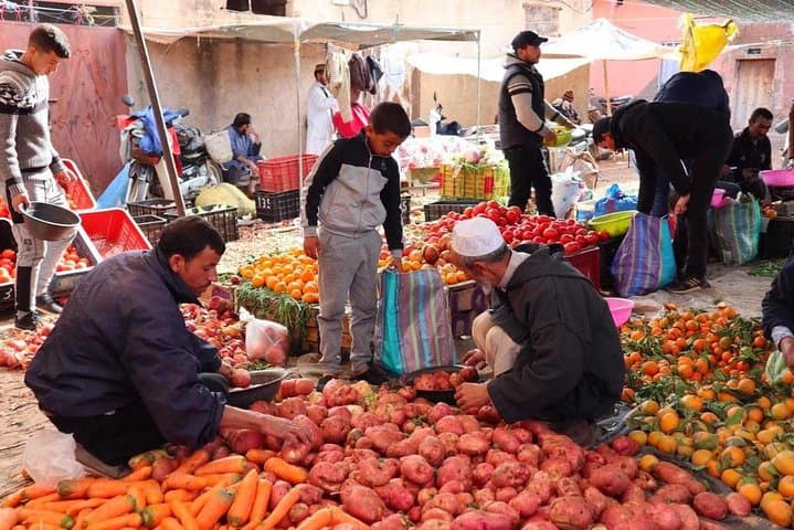 Atlas Mountains Day Trip: Three Valleys, Berber Villages & Waterfalls from Marrakech photo 6