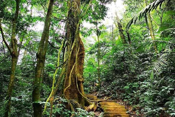 Cuc Phuong National Park: Primate Rescue, Ancient Caves & Forest Trails