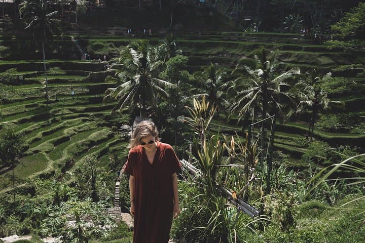 Ubud Waterfalls, Tegalalang Rice Terrace & Tirta Empul: Full-Day Shared Tour from South Bali photo 5