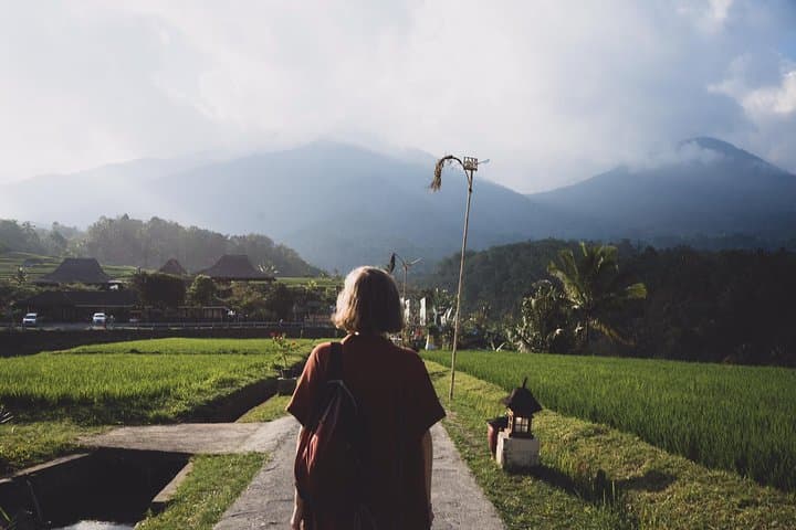 Jatiluwih Rice Terraces, Ulun Danu & Banyumala: Shared Day Tour from Ubud photo 5