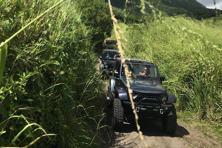 Self-Drive 4x4 Jeep Wrangler Off-Road Adventure & Beach Chill in St Kitts photo 3