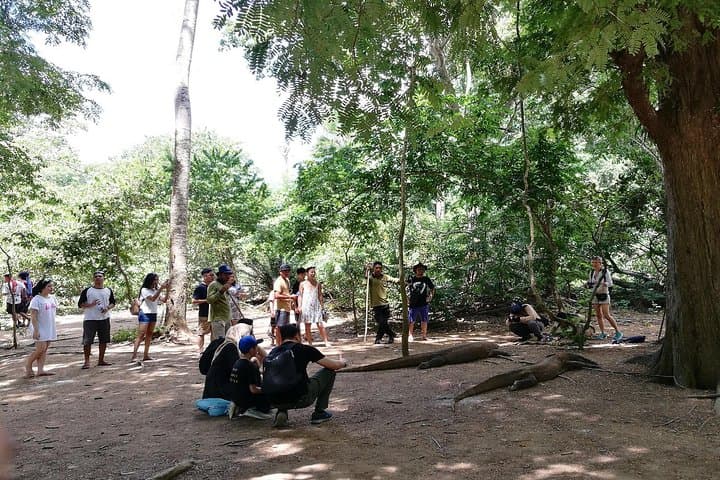 One-Day Komodo Highlights: Padar, Pink Beach, Komodo Dragons & Manta Rays photo 3