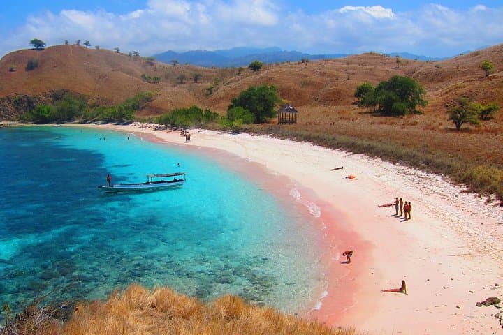 Komodo Island Day Trip: Padar Views, Komodo Dragons, Pink Beach & Manta Snorkel photo 4