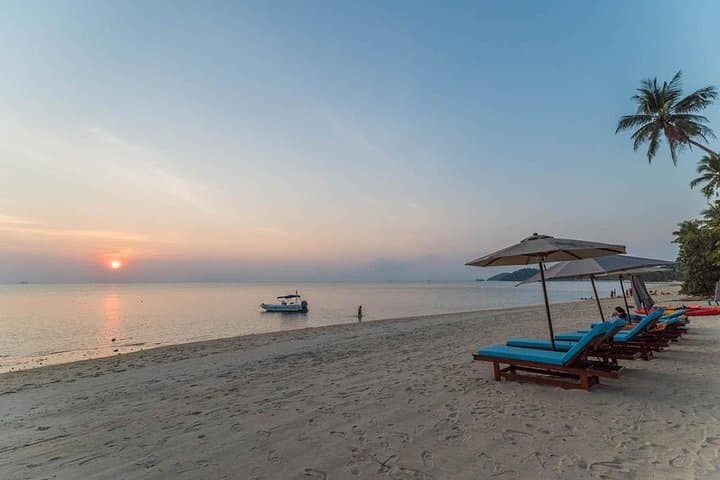 Sunset Speedboat Snorkel: Koh Tan, Koh Rap & Pig Island from Samui photo 3