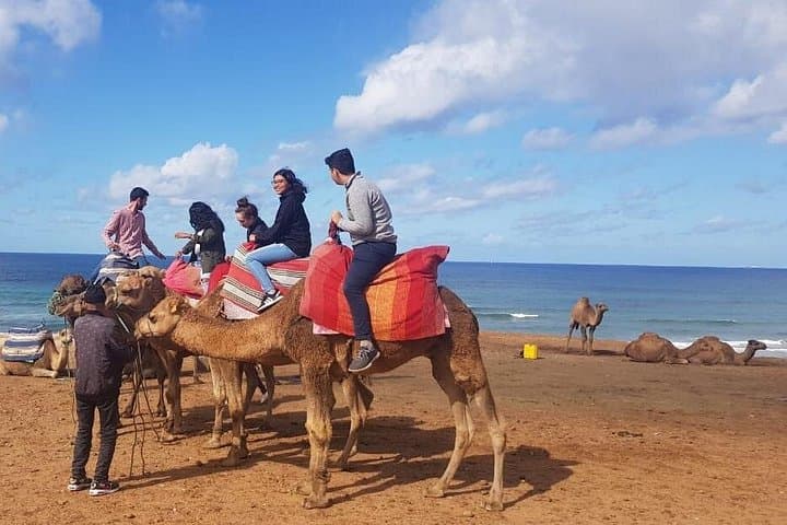 Tangier Guided Day Tour: Cap Spartel, Caves of Hercules & Old Medina photo 3