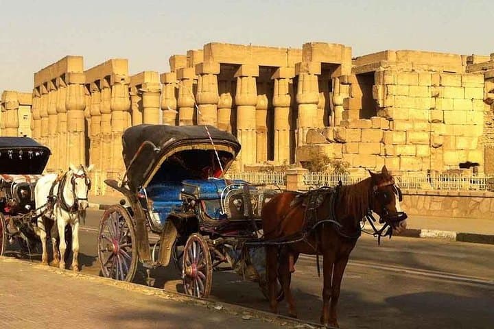 Karnak Sound & Light Show and Luxor Horse-Carriage Night Tour photo 4