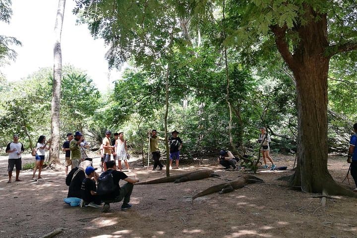 Komodo Island Day Trip: Padar Views, Komodo Dragons, Pink Beach & Manta Snorkel photo 2
