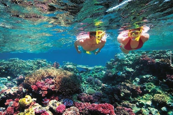 Komodo Island Day Trip: Padar Views, Komodo Dragons, Pink Beach & Manta Snorkel photo 5