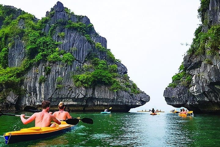 Cat Ba & Lan Ha Bay: 2-Day Cruise with Kayaking, Swimming and Cat Ba Hotel Overnight photo 3