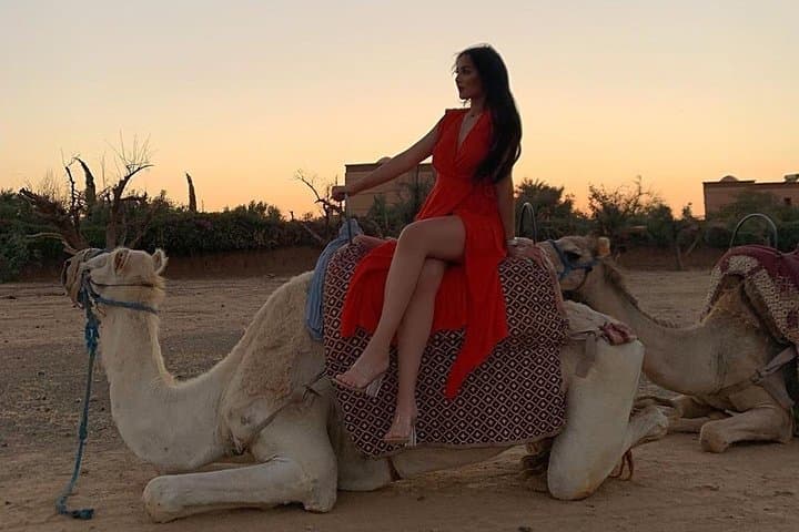 Camel Ride and Quad Biking in Marrakech Palmeraie — Half-Day Adventure
