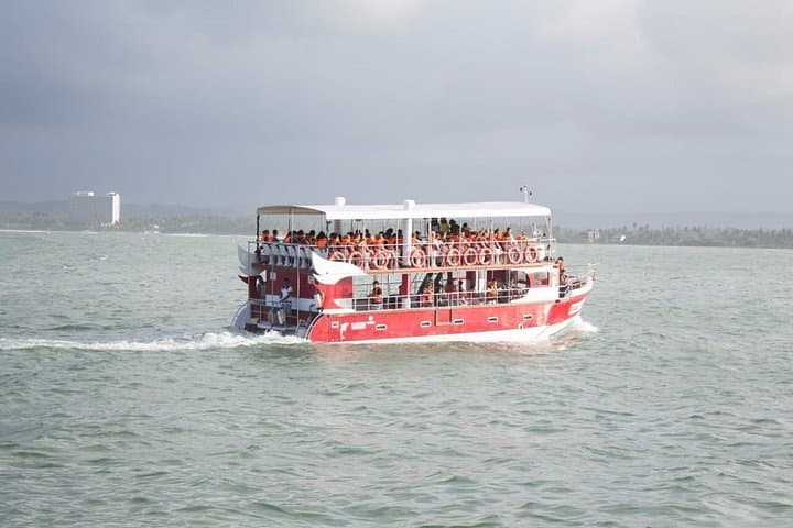 Mirissa Whale Watching with Eagle Eye: Blue Whale & Dolphin Trips on a Trimaran photo 5