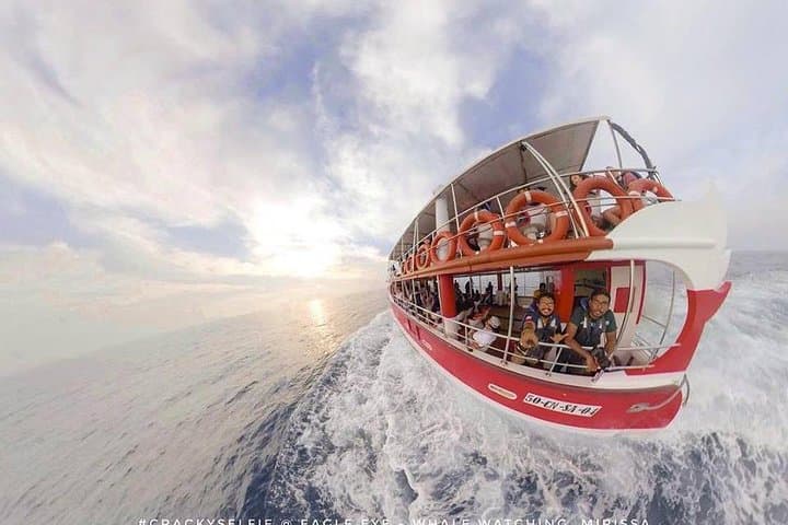 Mirissa Whale Watching with Eagle Eye: Blue Whale & Dolphin Trips on a Trimaran photo 6