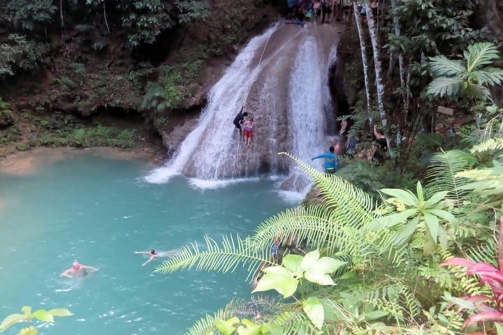 Island Gully Falls & Columbus Park Day Adventure — Rainforest Falls and Historic Discovery Bay photo 1
