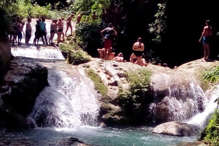 Island Gully Falls & Columbus Park Day Adventure — Rainforest Falls and Historic Discovery Bay photo 4