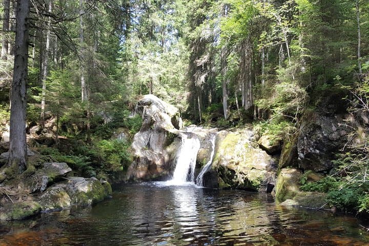 Quick Black Forest Tour from Freiburg: Waterfalls, Villages & Local Guides photo 6