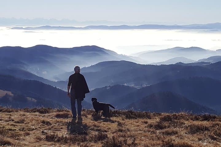 Quick Black Forest Tour from Freiburg: Waterfalls, Villages & Local Guides