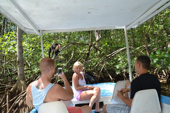 Damas Island Mangrove Boat Tour from Jacó — Monkey & Wildlife Viewing photo 2