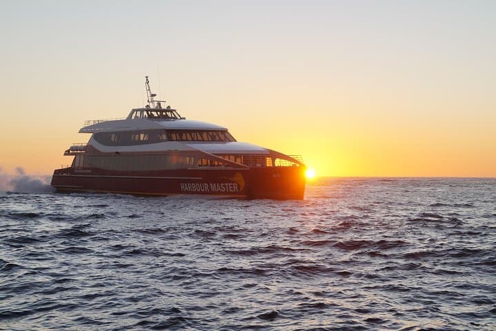 Gordon River Dinner Cruise from Strahan — Evening Catamaran, Sarah Island & Rainforest Walk