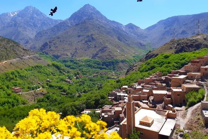 Atlas Mountains Day Trip: Three Valleys, Waterfalls & Camel Ride from Marrakech photo 3